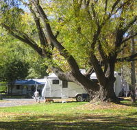 Tumbarumba Creek Caravan Park - Accommodation in Surfers Paradise