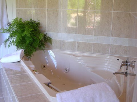 Mescals At Pampoolah Bed And Breakfast - Accommodation in Surfers Paradise 1