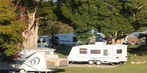 Bellinger River Tourist Park - Accommodation in Surfers Paradise 3