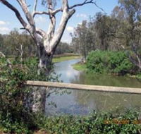 The Shanty Waterside Cottages - Accommodation in Surfers Paradise