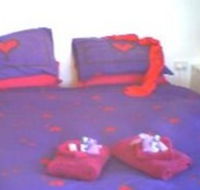 Aloomba Lavender - Accommodation - Accommodation in Surfers Paradise