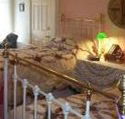 A Winter-Rose Cottage Bed and Breakfast - Accommodation in Surfers Paradise