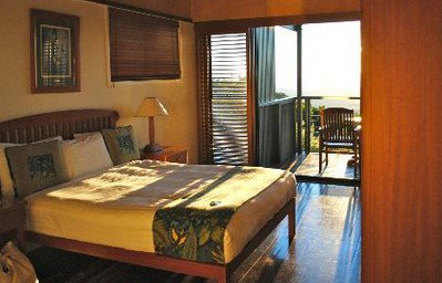 OReillys Rainforest Retreat - Accommodation in Surfers Paradise 2