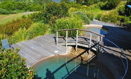 OReillys Rainforest Retreat - Accommodation in Surfers Paradise 4