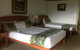 OReillys Rainforest Retreat - thumb 5