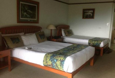 OReillys Rainforest Retreat - Accommodation in Surfers Paradise 5