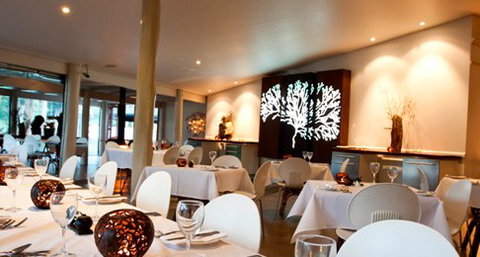 Cedar Creek Lodges At Thunderbird Park - Accommodation in Surfers Paradise 4