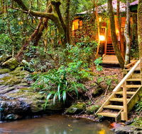 The Mouses House - Rainforest Retreat - Accommodation in Surfers Paradise