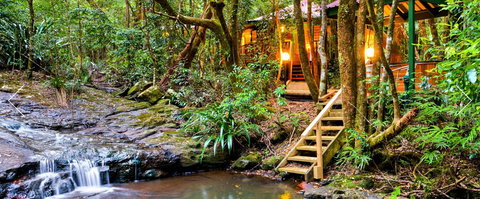 The Mouses House - Rainforest Retreat - Accommodation in Surfers Paradise 0