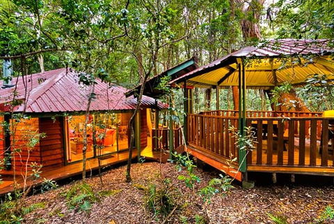 The Mouses House - Rainforest Retreat - Accommodation in Surfers Paradise 4