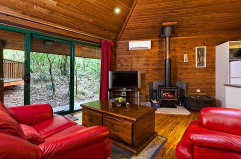 The Mouses House - Rainforest Retreat - Accommodation in Surfers Paradise 5