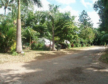 Cape Hillsborough Nature Resort - Accommodation in Surfers Paradise 4