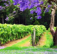 Bago Vineyards - Accommodation in Surfers Paradise