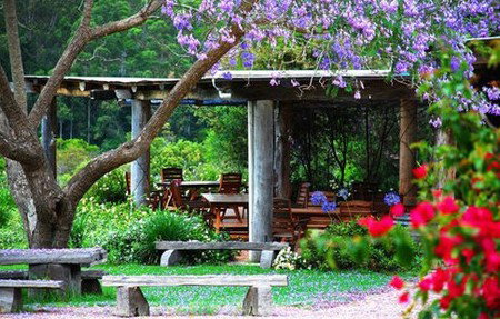 Bago Vineyards - Accommodation in Surfers Paradise 1