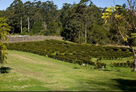 Bago Vineyards - Accommodation in Surfers Paradise 2