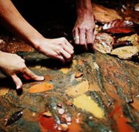 Daintree Eco Lodge And Spa - Accommodation in Surfers Paradise