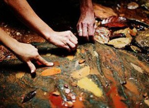 Daintree Eco Lodge And Spa - Accommodation in Surfers Paradise 0