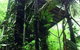 Daintree Eco Lodge And Spa - thumb 1