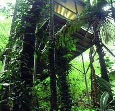 Daintree Eco Lodge And Spa - Accommodation in Surfers Paradise 1
