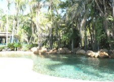 Cosgrove QLD Accommodation in Surfers Paradise