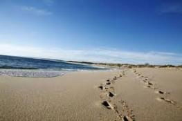 Kalbarri Palm Resort - Accommodation in Surfers Paradise 4