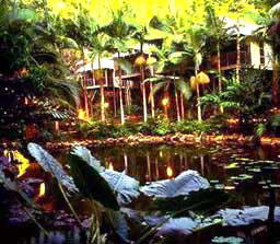 Daintree Eco Lodge And Spa - Accommodation in Surfers Paradise 3