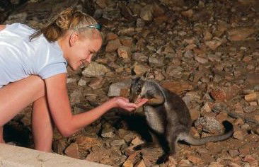 Heaviytrr Gap Outback Lodge - Accommodation in Surfers Paradise 5