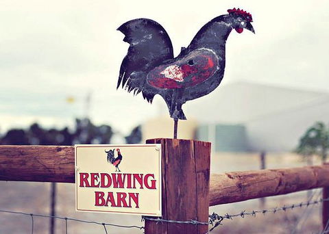 Redwing Farm - The Barn - Accommodation in Surfers Paradise 0