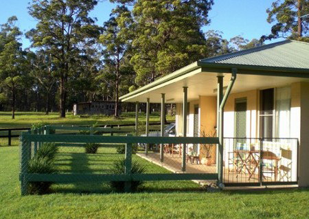 Neds Bed Horse O Tel - Accommodation in Surfers Paradise 1