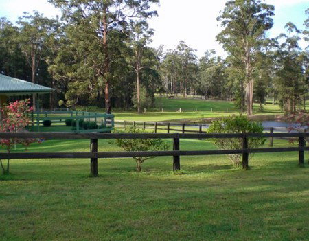 Neds Bed Horse O Tel - Accommodation in Surfers Paradise 2