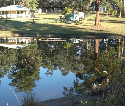 Neds Bed Horse O Tel - Accommodation in Surfers Paradise 4