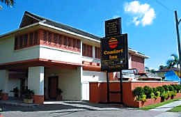 Comfort Inn The Rose - Accommodation in Surfers Paradise 1