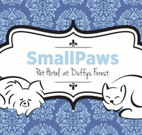 SmallPaws Pet Hotel - Accommodation in Surfers Paradise