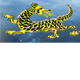 Dragon Phoenix Motel amp Restuarant - Accommodation in Surfers Paradise