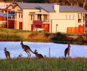 Grand Mercure The Vintage Hunter Valley - Accommodation in Surfers Paradise 0