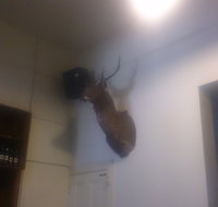 Union Hotel - Accommodation in Surfers Paradise