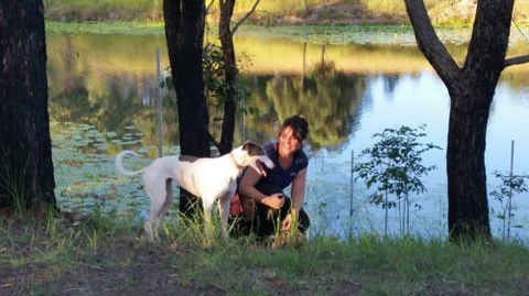 Wingham Pet Motel - Accommodation in Surfers Paradise 2