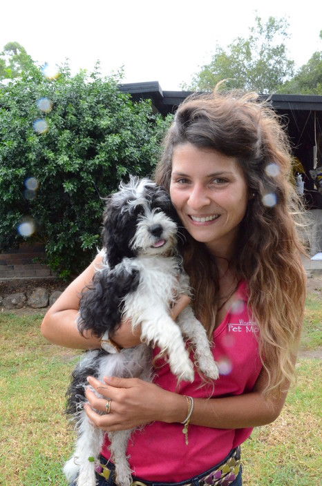 Wingham Pet Motel - Accommodation in Surfers Paradise 5