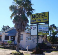 Blackboy Tree Motel - Accommodation in Surfers Paradise