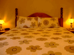 Bungama SA Accommodation in Surfers Paradise