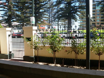 Grandview House Apartments - Accommodation in Surfers Paradise 5