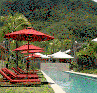 Mango Lagoon Resort And Wellness Spa - Accommodation in Surfers Paradise