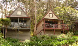 Great Ocean Road Cottages - Accommodation in Surfers Paradise 1