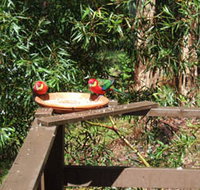 Tree Tops - Accommodation in Surfers Paradise