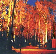 Dwellingup Chalet amp Caravan Park - Accommodation in Surfers Paradise