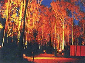 Dwellingup Chalet & Caravan Park - Accommodation in Surfers Paradise 0