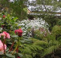 Lorne Lemonade Creek Cottages - Accommodation in Surfers Paradise