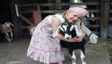 Country Roads Farmstay - Accommodation in Surfers Paradise 0
