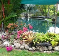 Daintree Wild Bed And Breakfast - Accommodation in Surfers Paradise