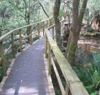 The Mouses House - Accommodation in Surfers Paradise